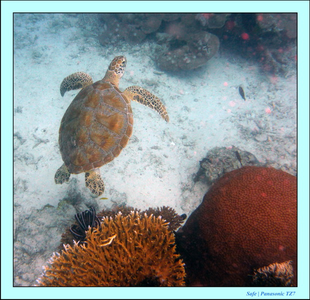 2009   07   Matakin 26